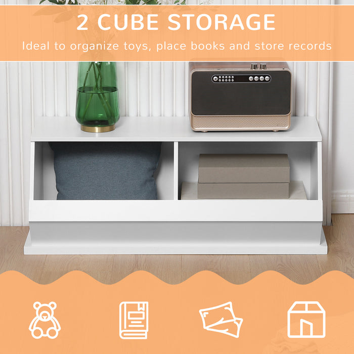 2 Cube Storage Unit Display Storage Cabinet with