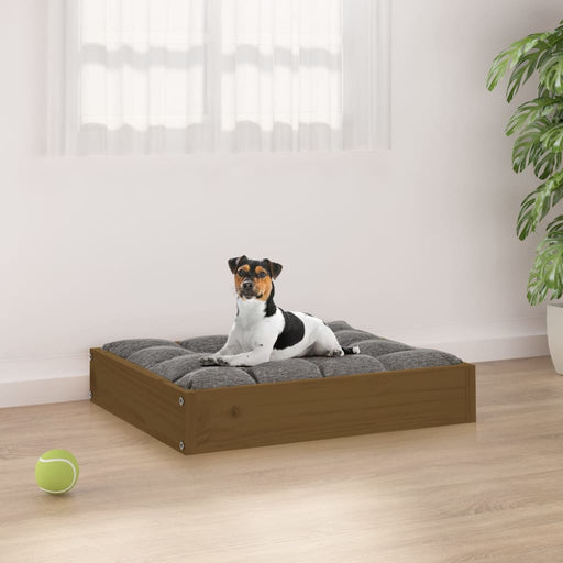 Dog Bed Honey Brown 51.5x44x9 cm Solid Wood Pine.